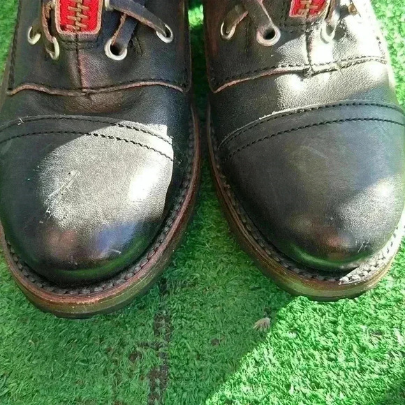 Freebird - Picture 5 of 8